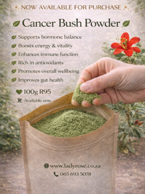 Cancer Bush Powder 100g